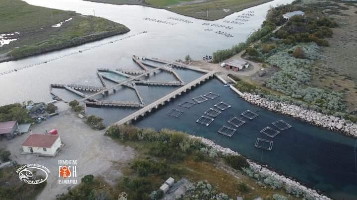 Muravera, raccolgono vongole senza autorizzazione: denunciati