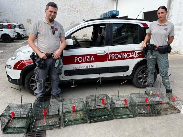 
	Le trappole sequestrate dalla polizia provinciale

