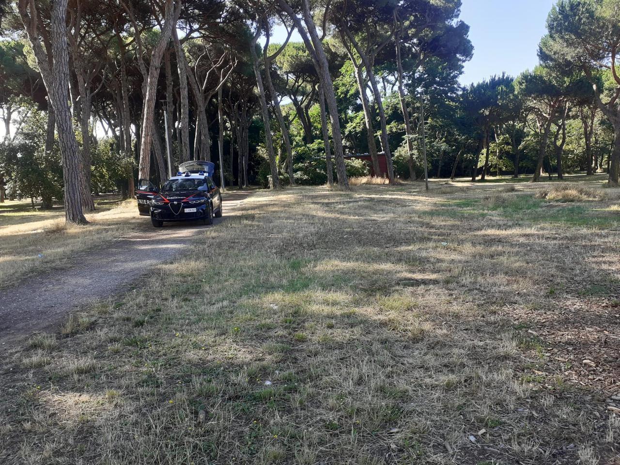 
	La zona della tragedia

