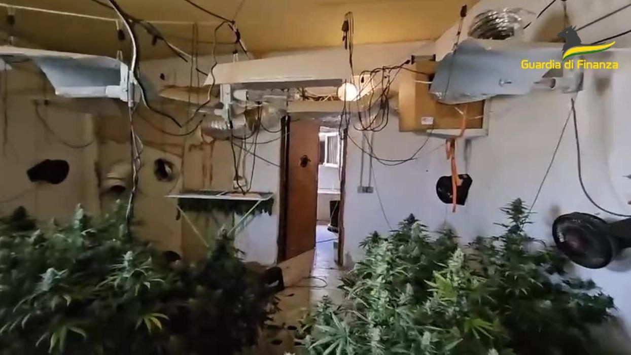 La casa di campagna a Selargius trasformata in serra per la marijuana
