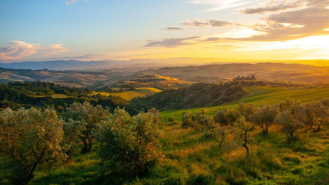 Turismo in Toscana, giù le prenotazioni negli agriturismi: male la Maremma, soffre la costa livornese. Le zone che si salvano