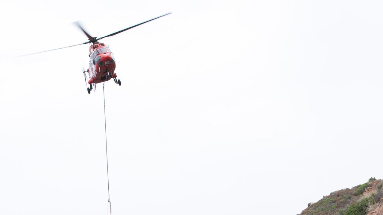 Incendio a Villacidro, morti tra le fiamme gli animali di due aziende agricole