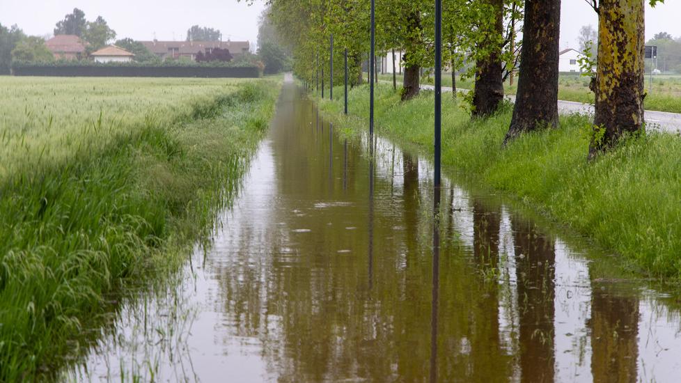 «Qui si è allagato tutto». App a Ferrara per “mappare” le crisi
