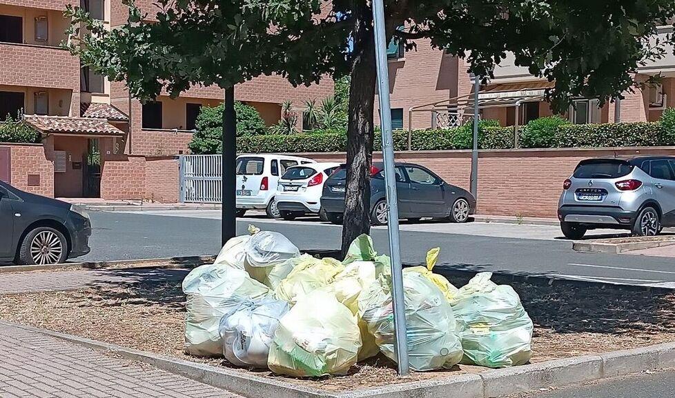  Cecina, arriva l’isola ecologica a Palazzi per migliorare il porta a porta