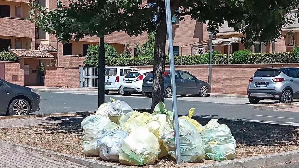 Cecina, arriva l’isola ecologica a Palazzi per migliorare il porta a porta