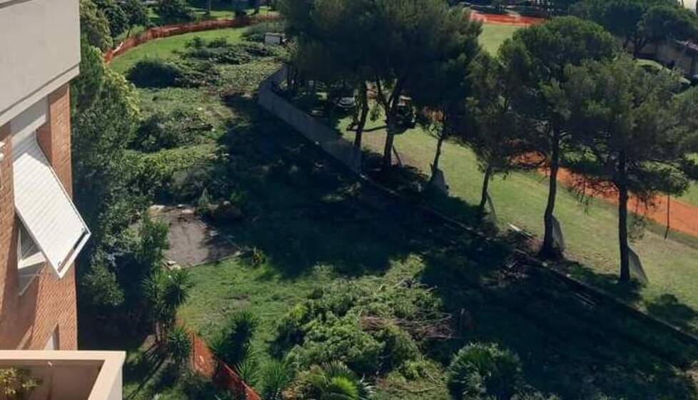 Livorno, polemiche per il cantiere del rio Maggiore: «Hanno abbattuto 200 alberi» – Video