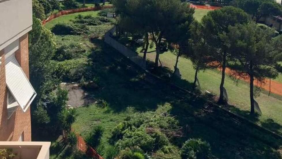 Livorno, polemiche per il cantiere del rio Maggiore: «Hanno abbattuto 200 alberi» – Video
