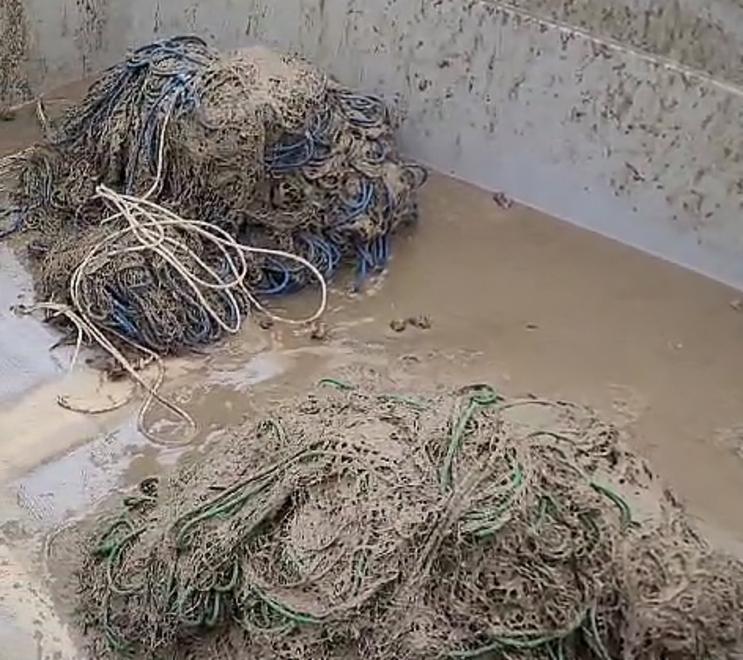 Porto Garibaldi, la mucillagine minaccia la pesca: trema anche il turismo