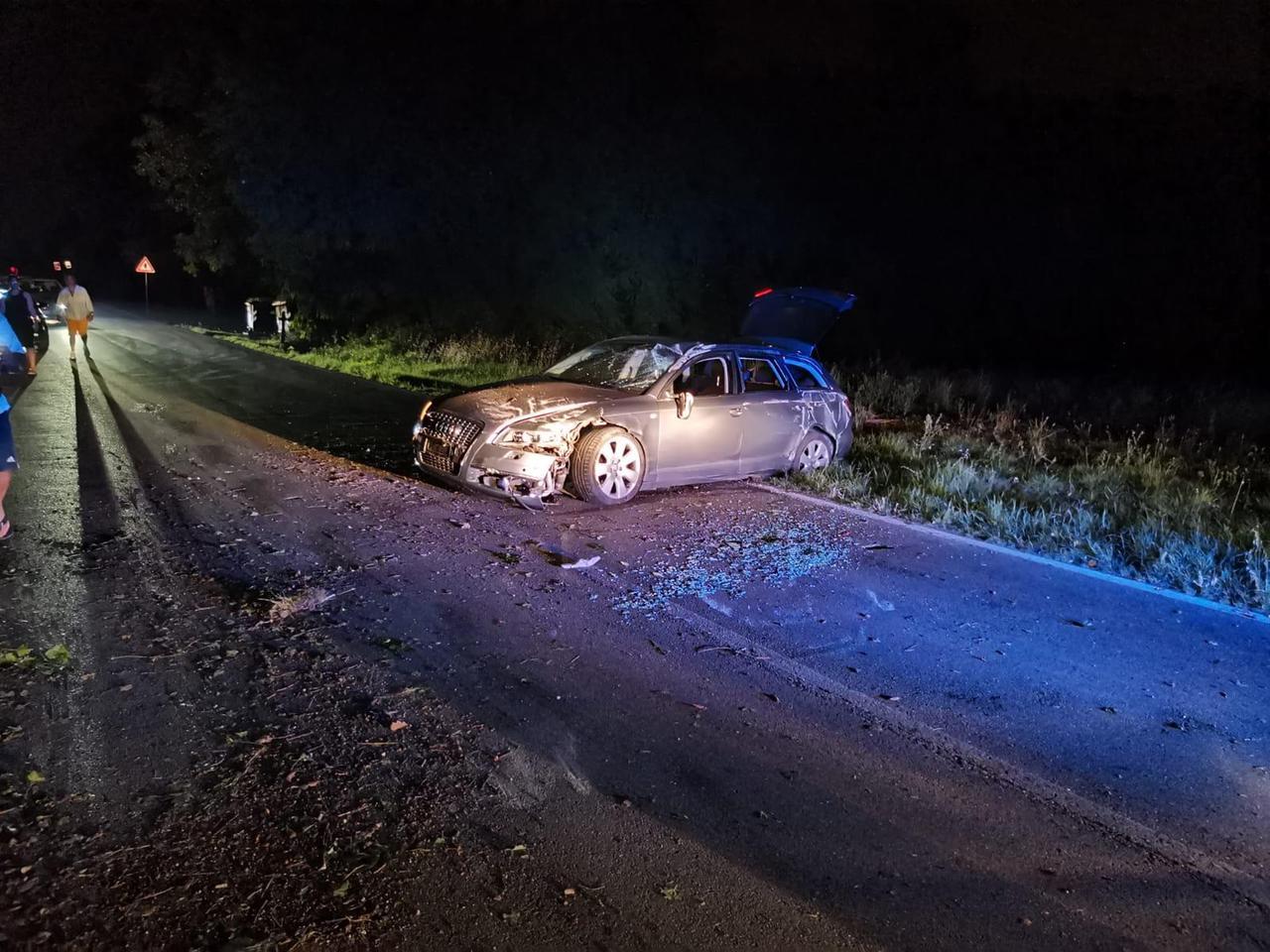 Cercano di evitare di investire un animale e finiscono fuori strada