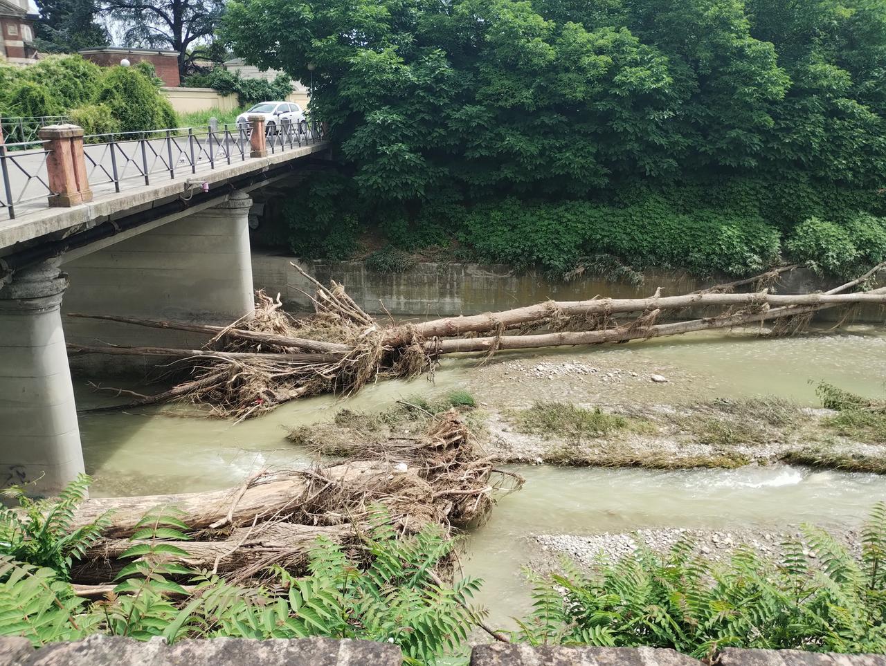 Grossi tronchi contro i ponti Crostolo: «Altrove è stata fatta pulizia, perché in città no?»