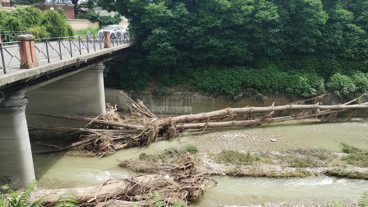Grossi tronchi contro i ponti Crostolo: «Altrove è stata fatta pulizia, perché in città no?»