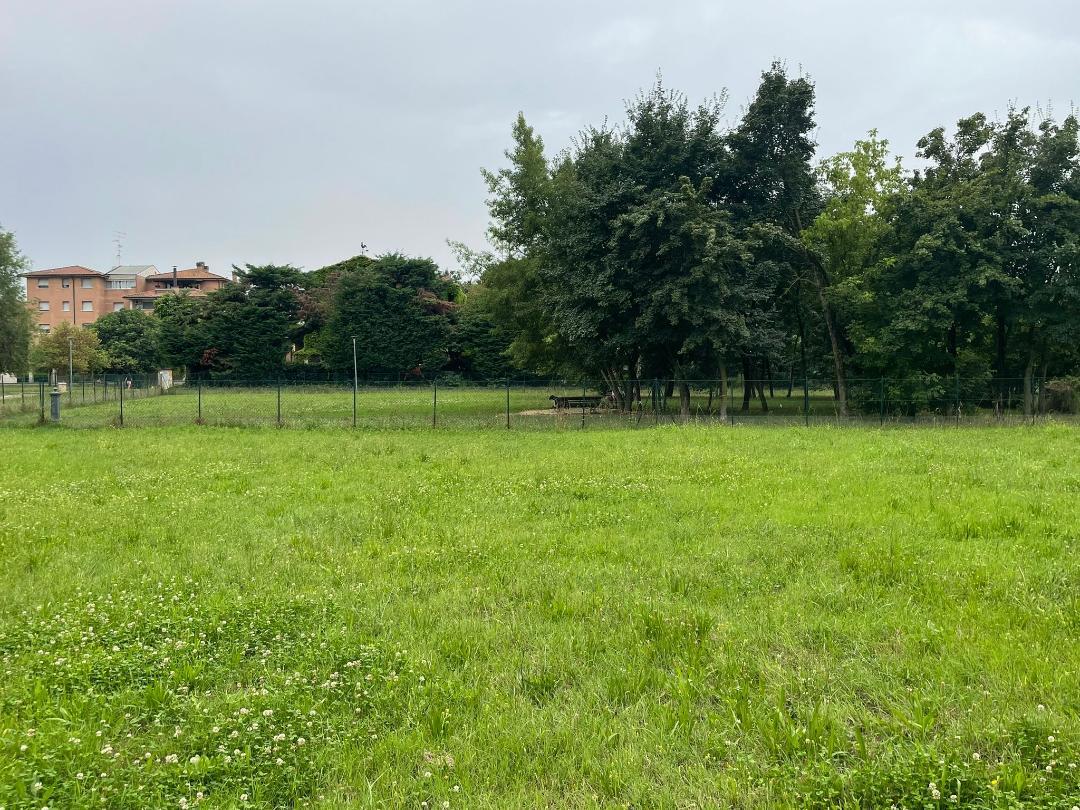 «I cani si tengono al guinzaglio: temiamo nuove aggressioni»