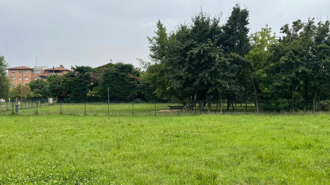 «I cani si tengono al guinzaglio: temiamo nuove aggressioni»