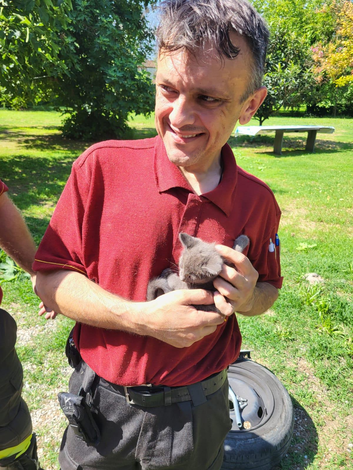 San Biagio di Bondeno, salvato il gattino intrappolato nel motore dell’auto