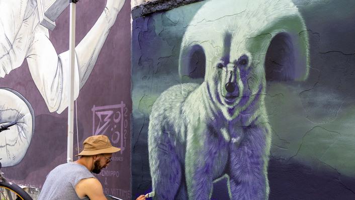 Ferrara, il parco ex Camilli si colora di nuovo: i muri anonimi in zona Darsena prendono vita