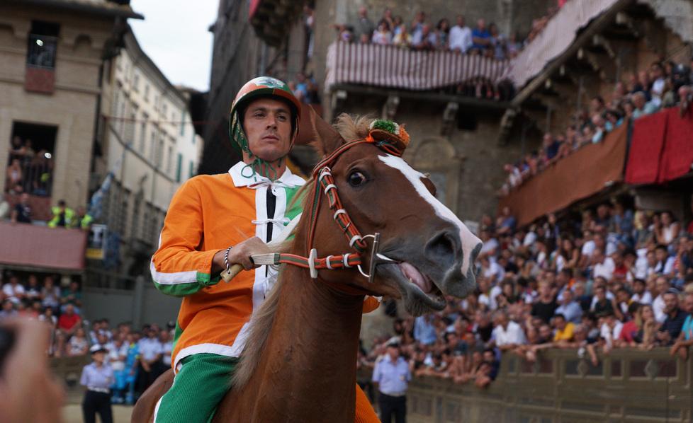 A Siena il Palio di Provenzano: sono sardi i dieci cavalli in gara