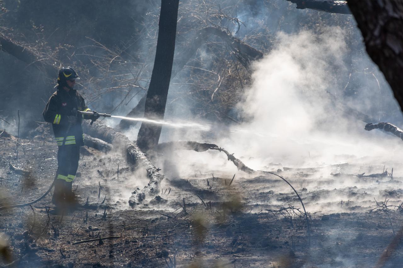 Lidi, allerta roghi nella pineta