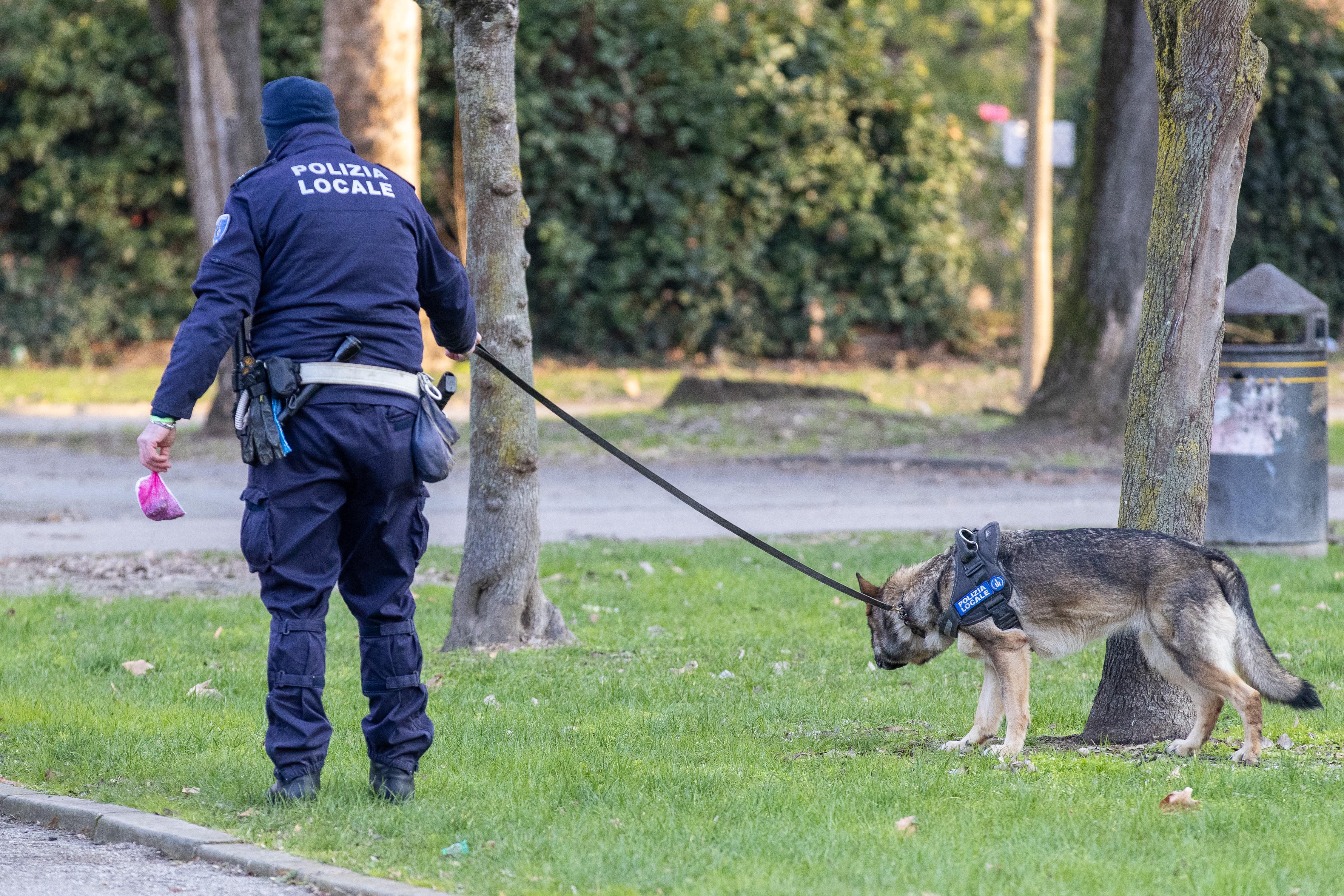 Ferrara, droga nascosta in viale IV Novembre scoperta dai cani della Polizia locale
