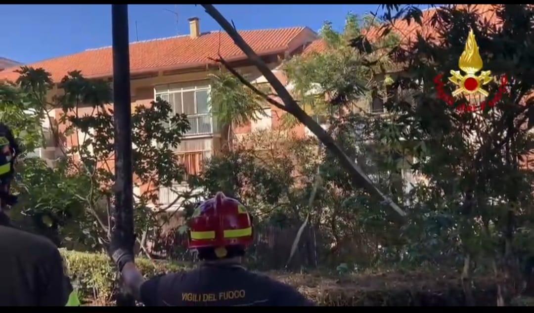Cagliari, albero di 12 metri cade sul tetto di una casa