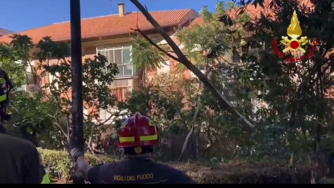Cagliari, albero di 12 metri cade sul tetto di una casa