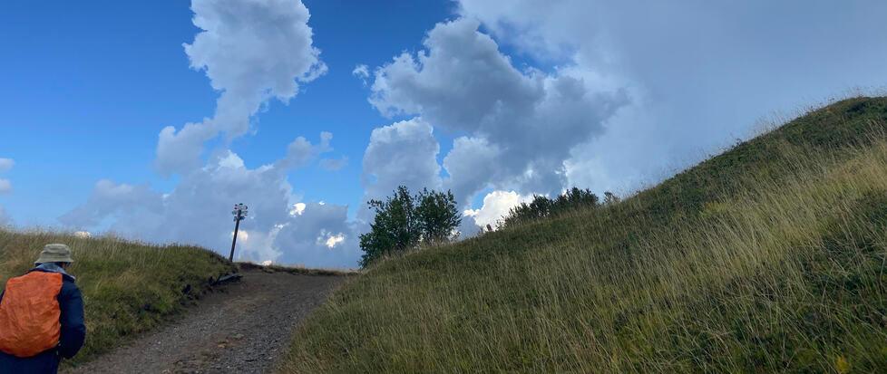Immergersi nella natura con il festival di Icarus