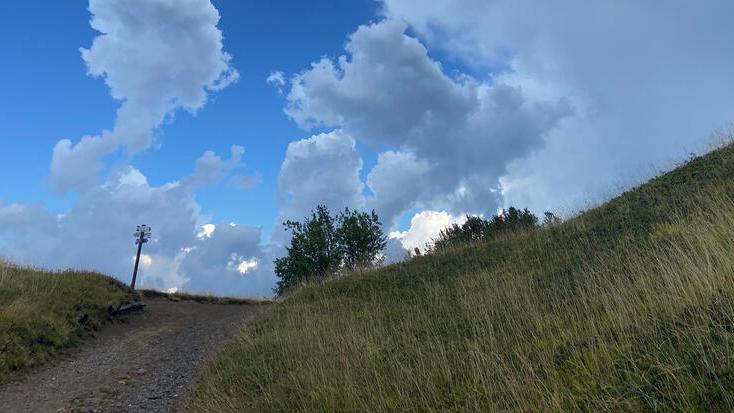 Immergersi nella natura con il festival di Icarus