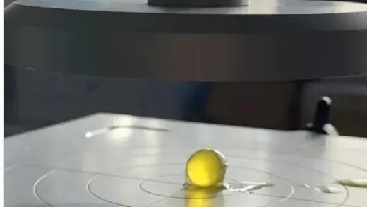 Sassari la sfera commestibile creata nel Dipartimento dell'Università