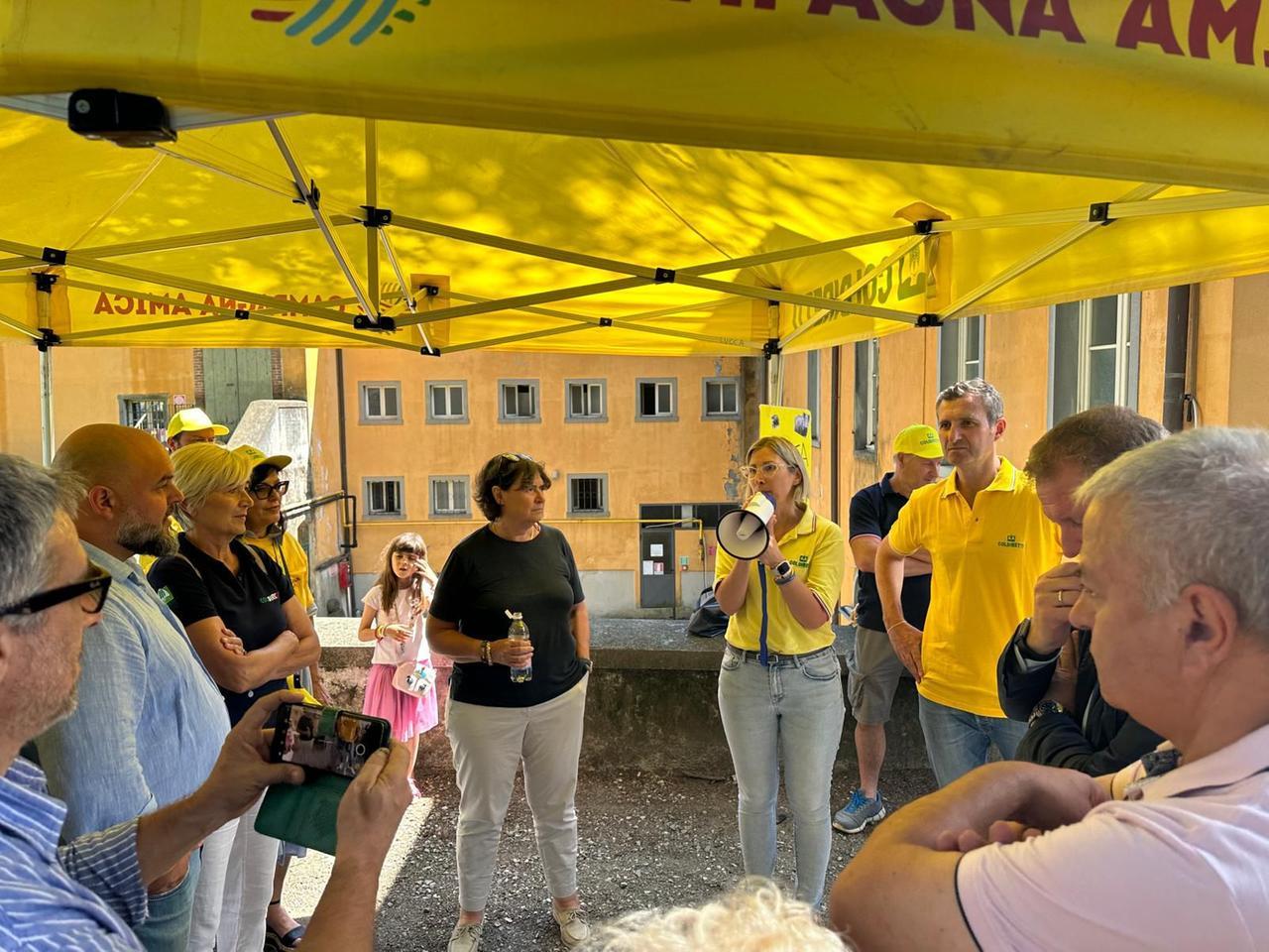 L’assessora Saccardi: Lunigiana a rischio peste suina africana per colpa dei cinghiali