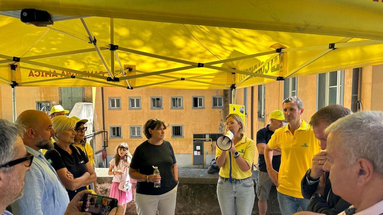 L’assessora Saccardi: Lunigiana a rischio peste suina africana per colpa dei cinghiali