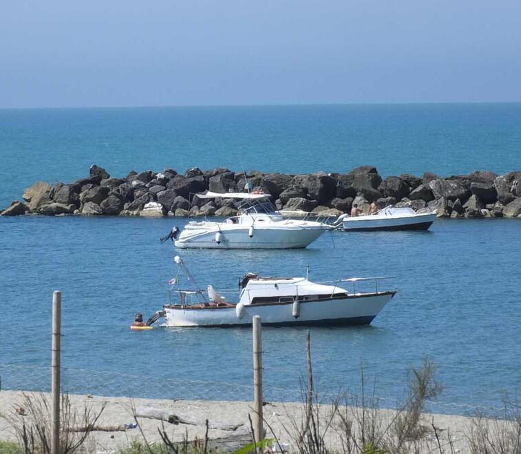 Nella foto d’archivio barche al Gombo