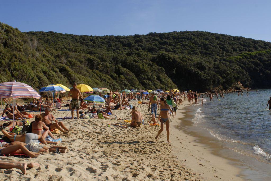 
	La spiaggia di Cala Violina in una foto di Giancarlo Grassi

