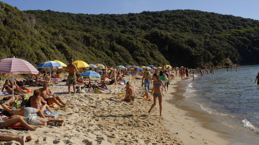 La spiaggia di Cala Violina in una foto di Giancarlo Grassi