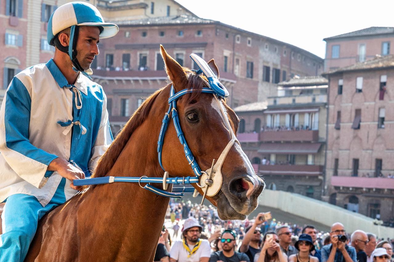 
	Carlo Sanna su Tabacco&nbsp;

