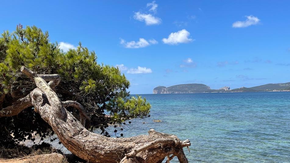 Da Baia delle ninfe a Piscinas, ecco la mappa dei lidi del nudismo in Sardegna