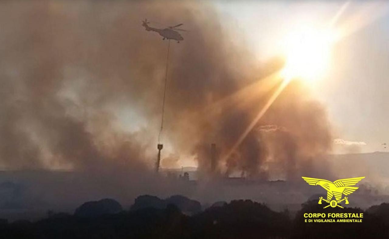 La Forestale arresta un 38enne: è accusato di aver appiccato quattro roghi nel parco nazionale della Maddalena