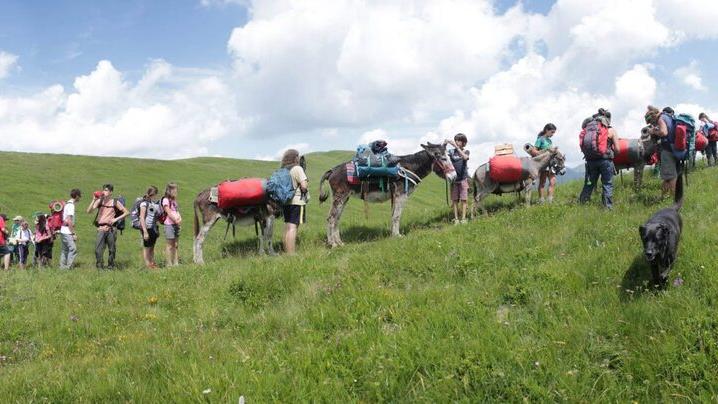 «A Casalino di Ligonchio teniamo vivo il legame tra asini ed Appennino»