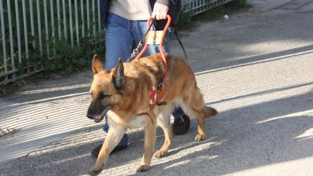 Sassari, si è finto cieco per tredici anni: a processo ex allevatore 68enne