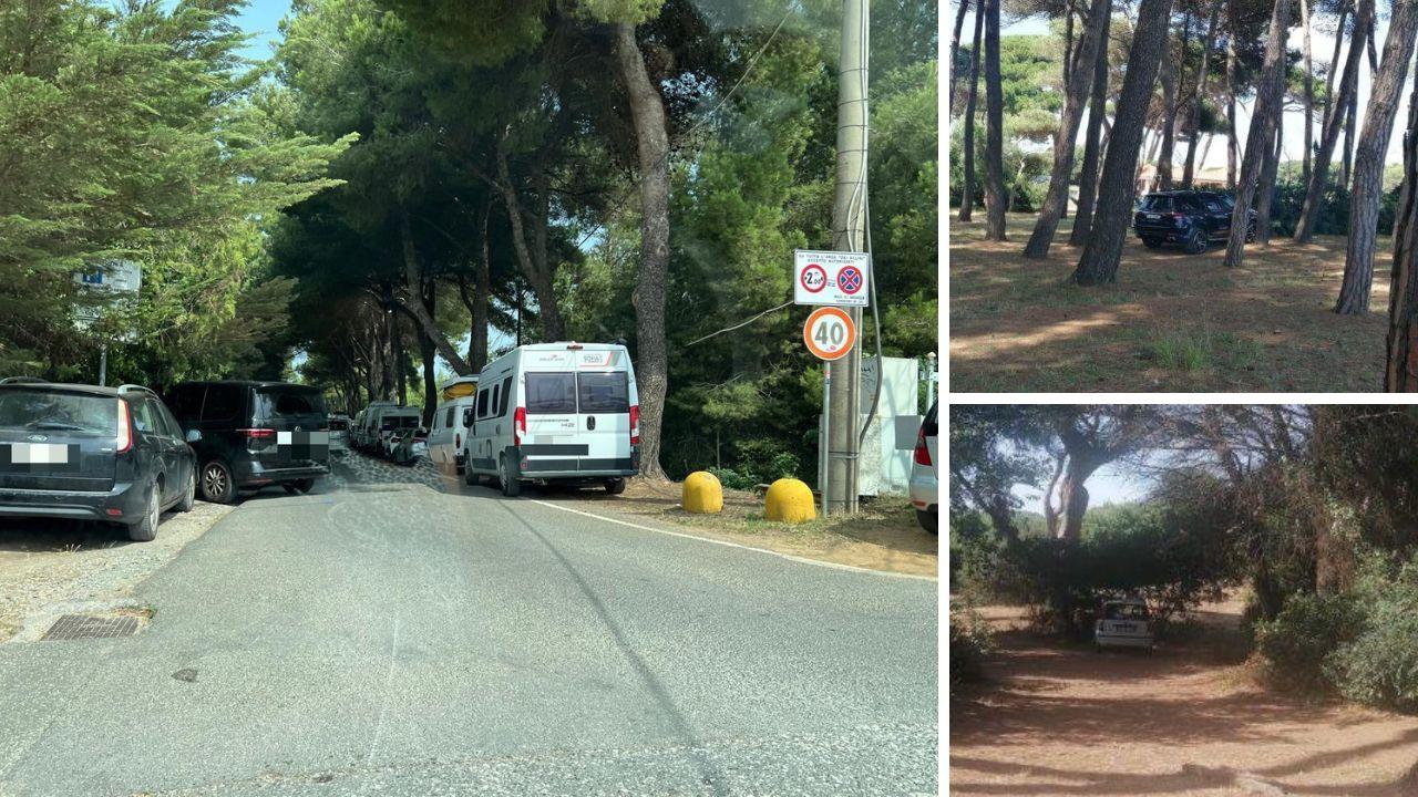 Primo assalto d’estate a Baratti: parcheggio selvaggio in pineta (dove si fa anche campeggio)