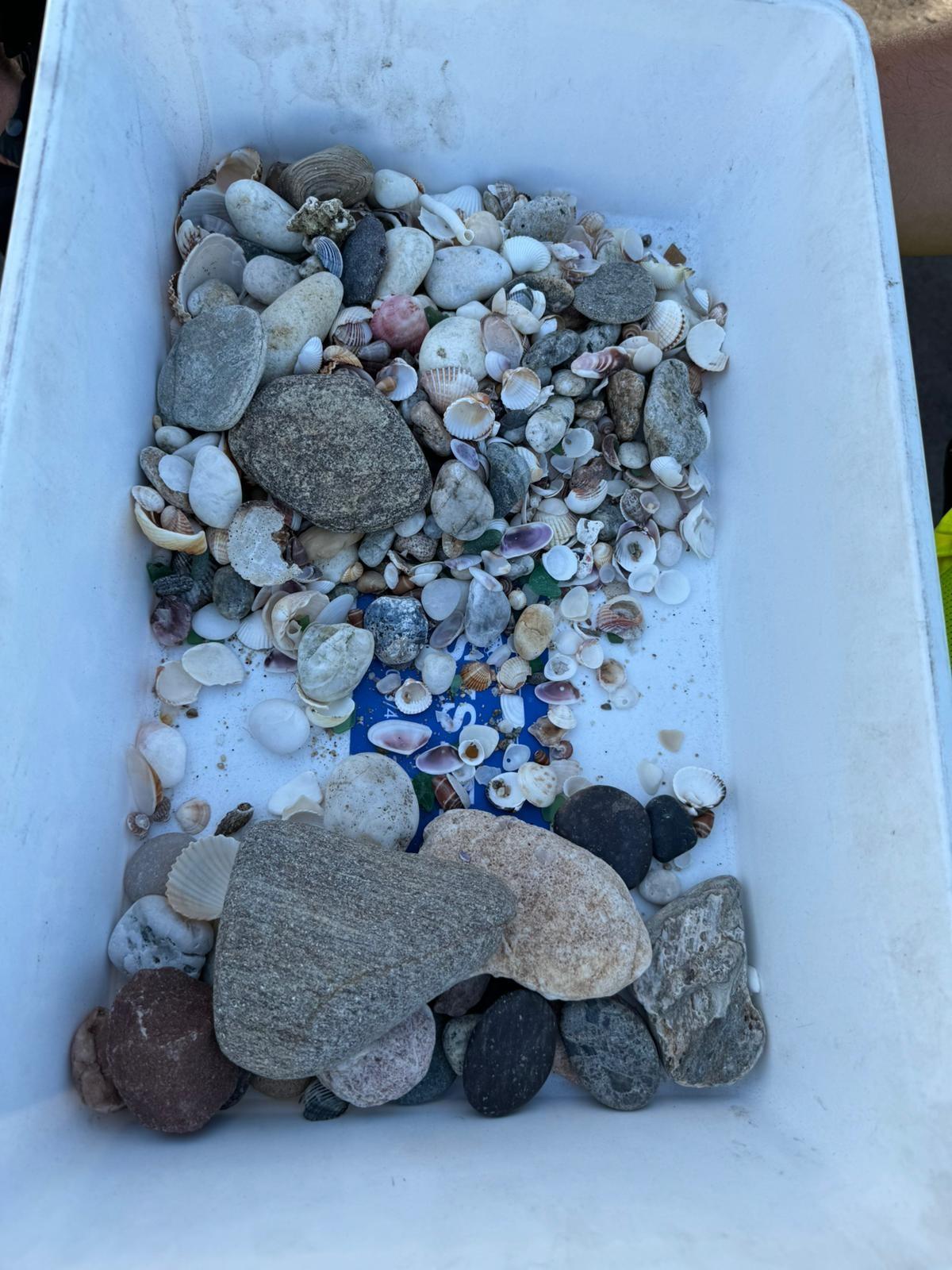 Olbia, pietre e conchiglie nel bagagliaio: turisti multati