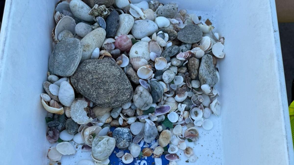 Olbia, pietre e conchiglie nel bagagliaio: turisti multati