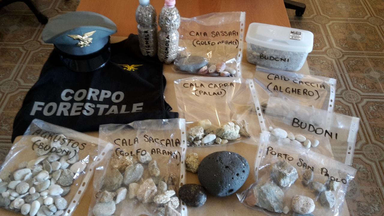 
	Un sequestro della Forestale di Tempio&nbsp;

