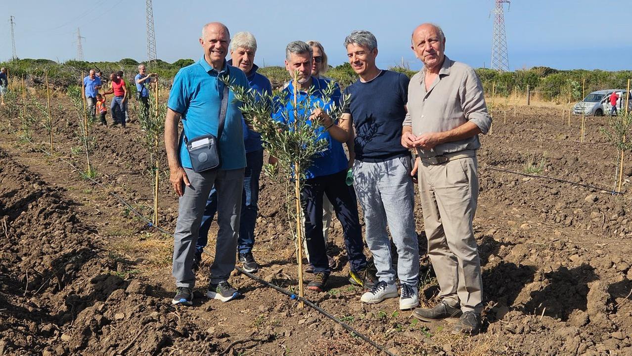 Pier Paolo Arca e Giovanni Galistu (Associazione Montiferru), Bastianino Mossa (Fasi) e Raffaele Sestu (Unpli Sardegna)