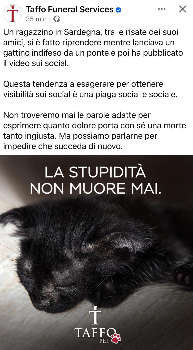 Gattino lanciato dal ponte a Lanusei, l’agenzia funebre Taffo sui social: «Una morte ingiusta e una piaga sociale»
