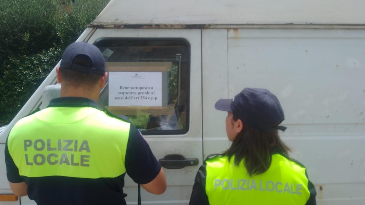 Olbia, in giro con una pecora nel furgone: denunciato