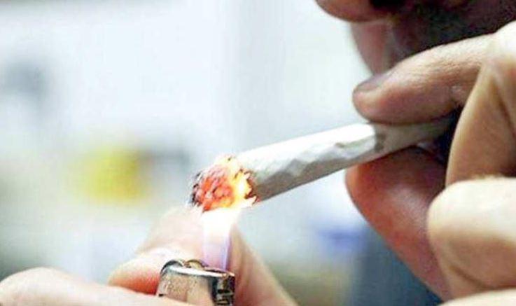 Cento, marijuana light: assolto dall’accusa di spaccio