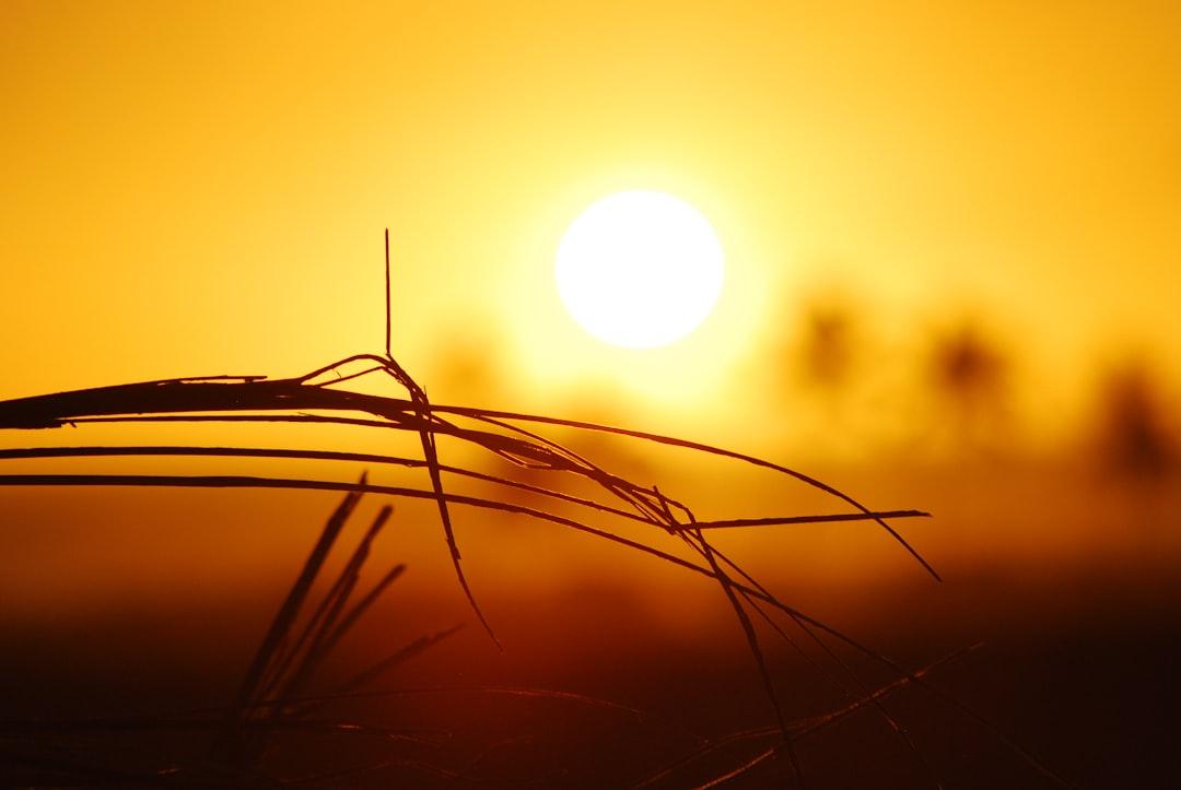 
	Arriva il grande caldo in Toscana

