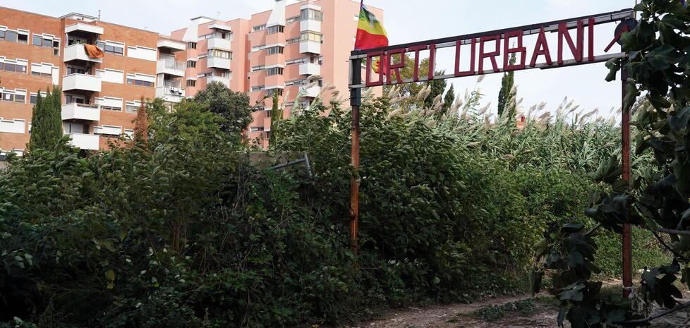 Livorno, viaggio negli Orti urbani di via Goito tra ortaggi e il fantasma villette: «Diteci che qui non costruiranno»