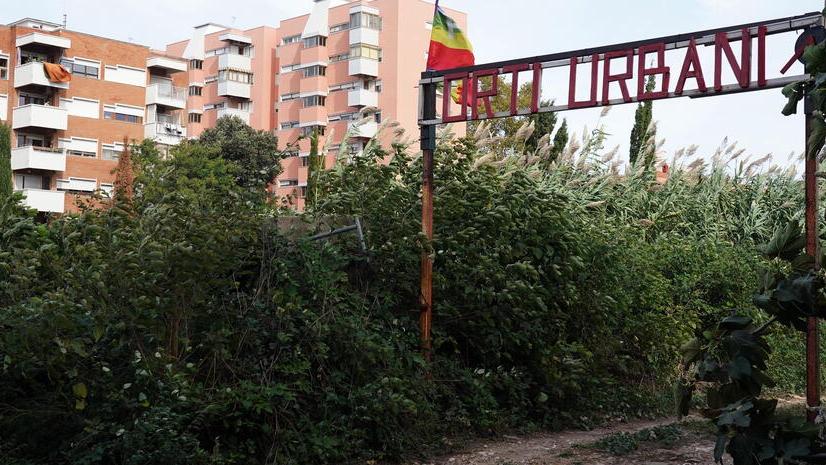 Livorno, viaggio negli Orti urbani di via Goito tra ortaggi e il fantasma villette: «Diteci che qui non costruiranno»