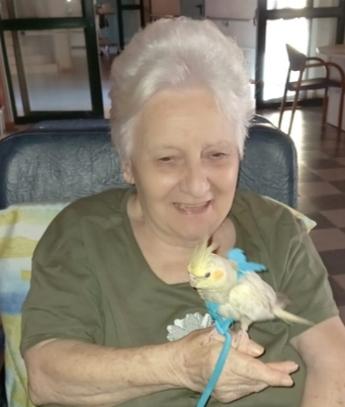 Addio ad Anna, amica dei gatti e cuoca sopraffina