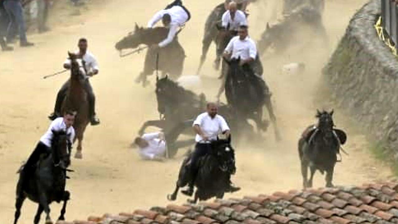 Cavalli abbattuti all’Ardia di Sedilo, la rabbia degli animalisti: manifestazioni da annullare